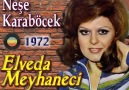 Neşe Karaböcek - Elveda Meyhaneci (1972)