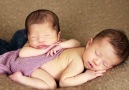 Newborn Boy Girl Twins Photographed in Studio