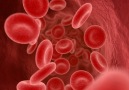 New enzyme converts any type of blood group into universal donor type-O.