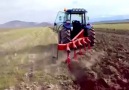 New Holland