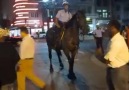 New Orleansta Kendini Sokak Müziğinin Ritmine Kaptıran Polis Atı