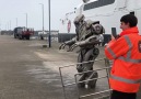 New recruit Titan the Robot at Isle of Man Harbours