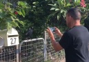 7NEWS Brisbane - Magpie whistles like fire truck Facebook