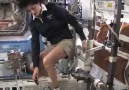 news.com.au - Ever wondered how astronauts live in space