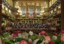 New Year's Concert in Vienna – 2011  (part5)
