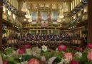 New Year's Concert in Vienna – 2011 (part5)