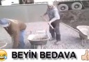 Ne yapıyorlar acaba