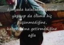 Ney Neva - Kimse kimsenin omzundaki yükünü ve...