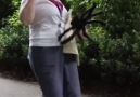 Nickxar - Huge Spider on People Facebook