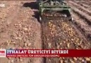 Niğdede Patates üreticisinin sesi... - Niğde Haberleri-Son Dakika