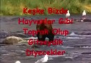 NİHAT HATİPOĞLU - MAHŞERDE HAYVANLAR OLACAKMI