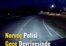 Norveç polisi gece devriyesinde