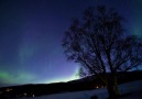 Norveç Üzerinde Akan Muhteşem Kutup Işıkları