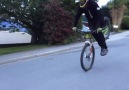 Nose Wheelie all day long