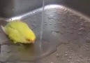 Now bath time :) so sweet <3
