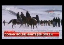 NTV ve FOX TV-  Çıldır Altın At Kış Şöleni Görüntüleri
