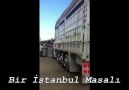 Nuri Çerçiden Hal Yıkılışı (BİR İSTANBUL MASALI)