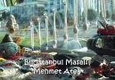 Nuri Çerçiden Yıkım (BİR İSTANBUL MASALI)