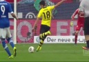 Nuri Şahin'in Schalke'ye attığı mükemmel gol !
