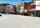 Nusaybin Harun Dilşad Nısebinamın Adlı... - Midyat Tarih Haber