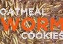 Oatmeal Worm Cookies