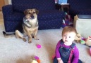 O cão, o bebé e as bolas de sabão...