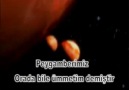 O HERKESİN PEYGAMBERİ (S.A.V)