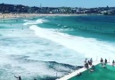Oh WOW! Bondi Beach Australia &