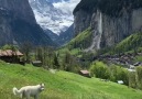Ok So What Are You Waiting For! Lauterbrunnen Switzerland