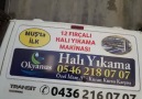 OKYANUS varsa paşa yikadigimiz halı ve... - Muş Okyanus Halı Yıkama