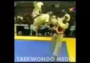 Old School Taekwondo