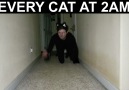 Oleg & Jay - Every Cat At 2AM Facebook
