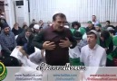 Ölümsüz dansçılar... Dans etmek için doğdular!