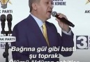 Ölümü Öldüren Şehitler Gördüm!