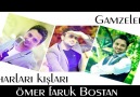 Ömer Faruk Bostan - Gamzelerin - Baharları Kışları