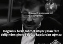 Ömer Mutlu - Yalan fare deliğinden geçerde doğruluk...
