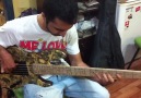 Omy double cut necktru 5 gitar Ulas Baskaya Demo