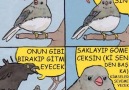 Önceki gönderinin video hali