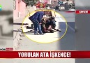 Önce kırbaçladı sonra tekmeledi!