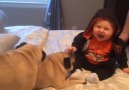 One baby plus two pugs results in the perfect video for a Sunday