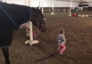 One-year-old pulls horse