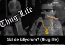 Onlarda Thug Life vs Bizde Thug Life