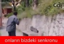 Onların bizdeki senkronu, Bizim onlardaki senkronumuz;