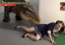 Only in Japan, Dinosaur in hidden camera :D