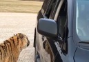 Open the door