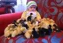 ördekler bebeği çok sevdiler )
