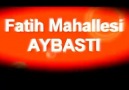 ORDU AYBASTI FATİH MAHALLESİ