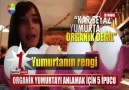 ORGANİK YUMURTAYI ANLAMAK İÇİN 5 İPUCU