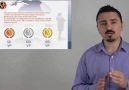 Organo Gold Firma, Ürün Ve Kazanç Planı Sunum Videosu