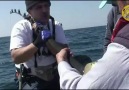 Orkinoz; Akşam suyu, 09 04 2014 - 2. Bölüm